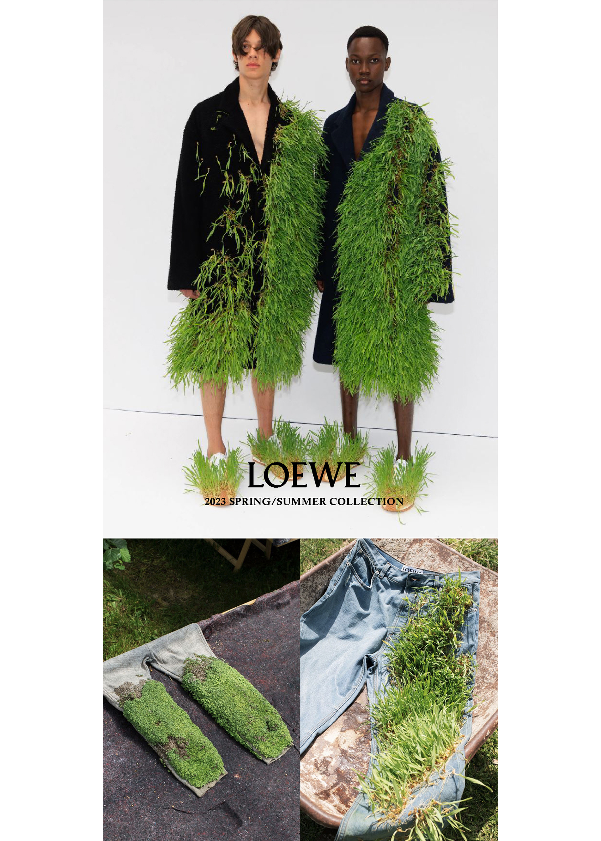 젠테스토어_Loewe
